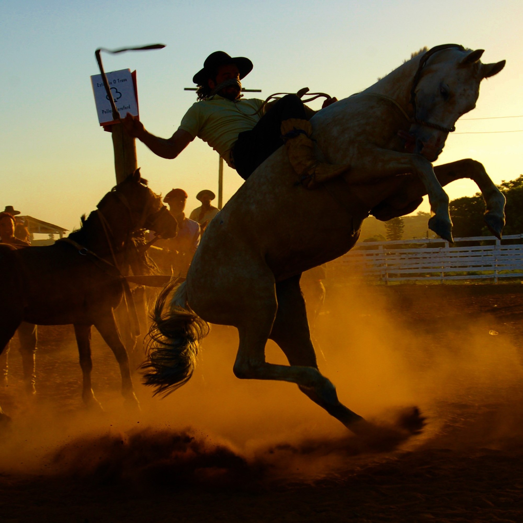 Anderson, South Carolina Camping Events - KOA