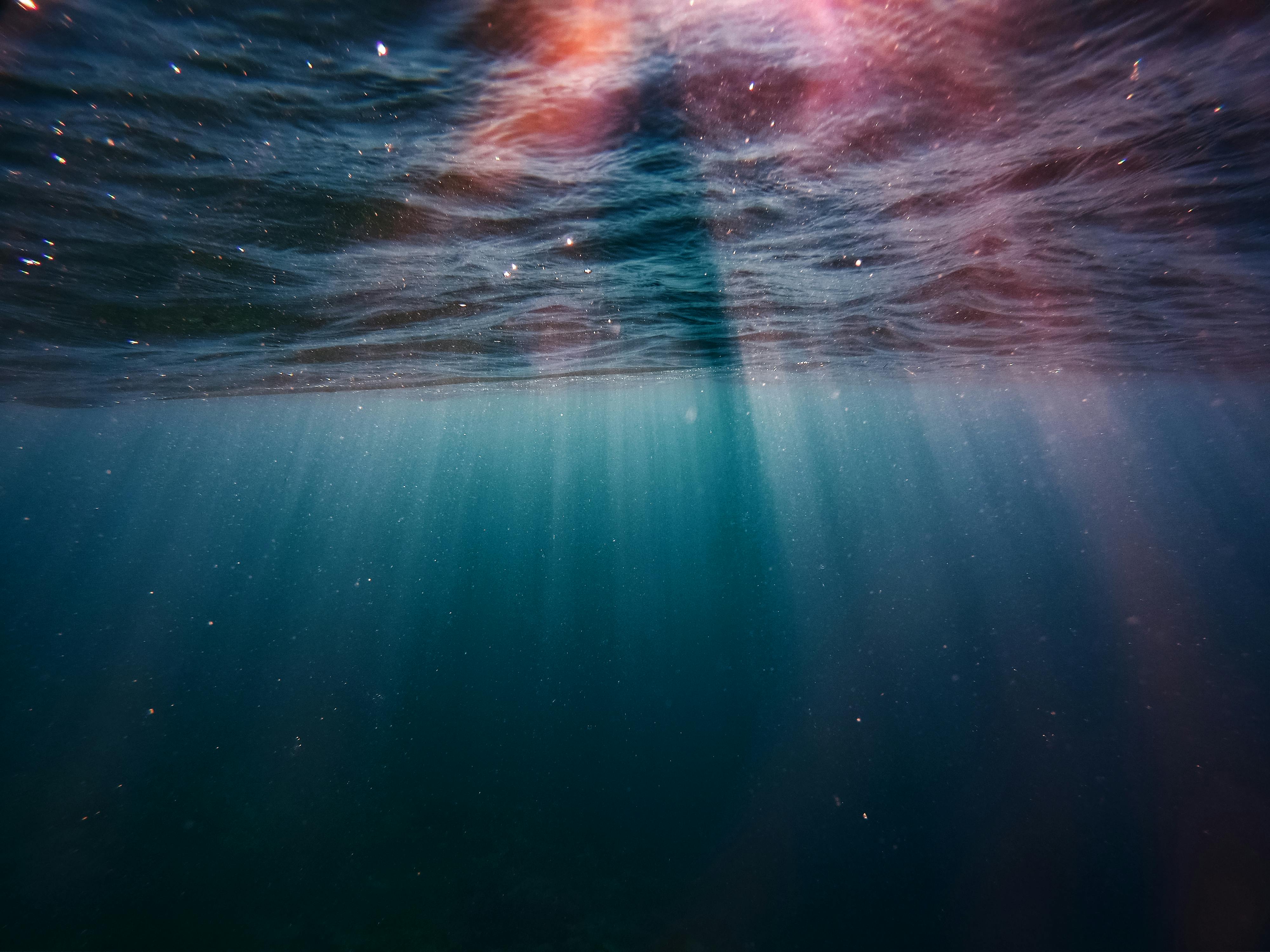 Under The Sea Photo