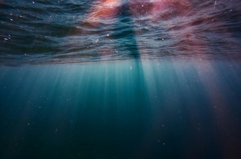 Under The Sea Photo