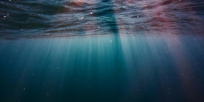 Under The Sea