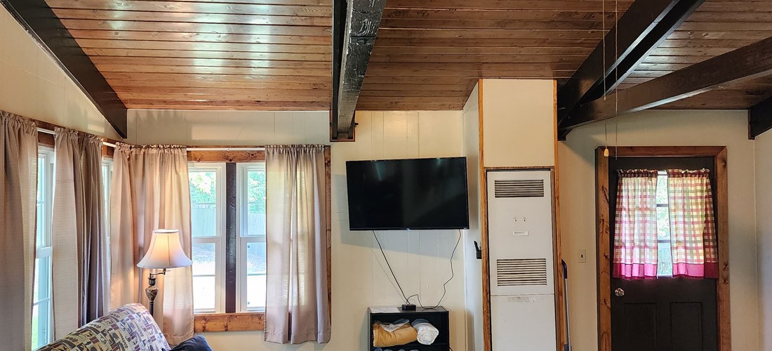 C02 Deluxe Cabin Livingroom 1