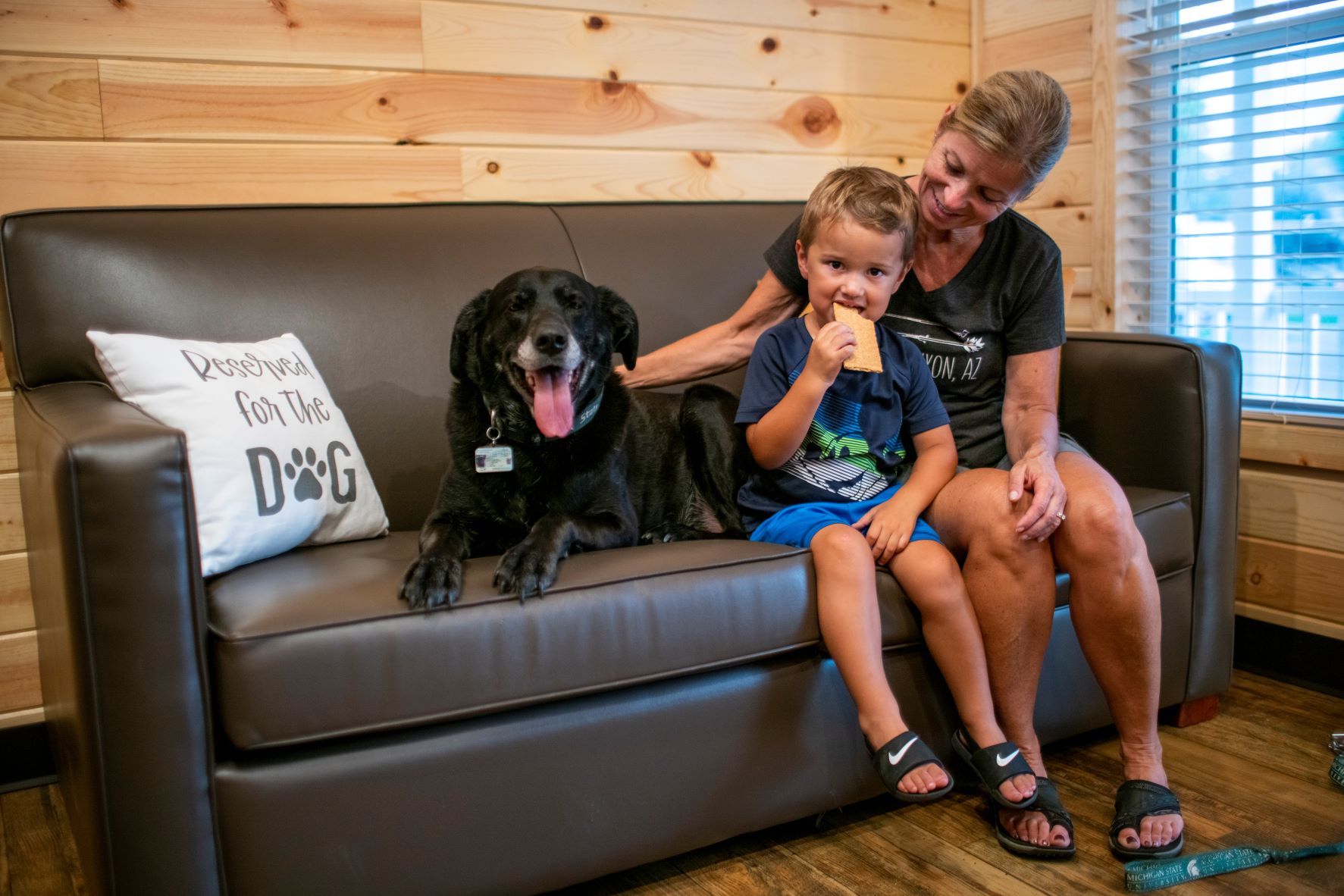 Pet Friendly cabins