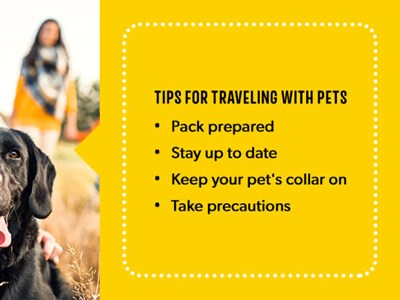 Pet Friendly Travel and Vacation Guide