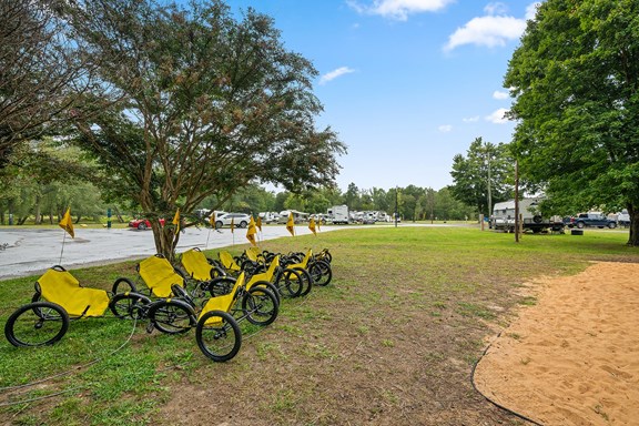 Bike Rentals