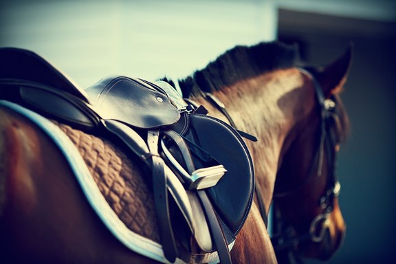 Horse Back Riding