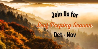 The Ultimate Guide to Leaf Peeping in Asheville, NC