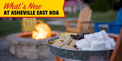 What's New at Asheville East KOA!