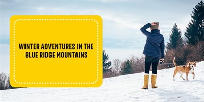 Winter Adventures in Blue Ridge Mountains