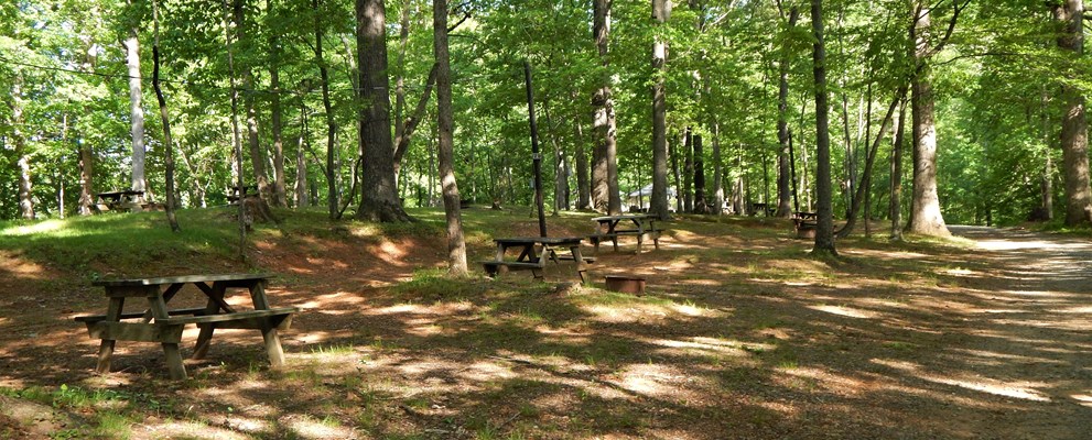 G Section, Tent Sites
