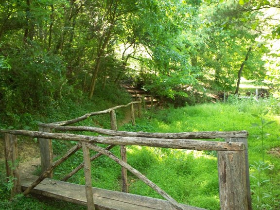 Nature Trails on the Campground