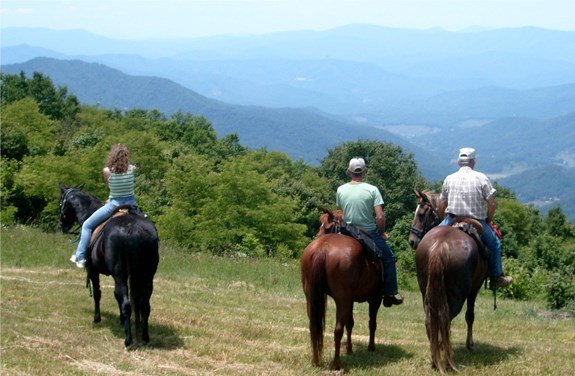 Horseback Riding