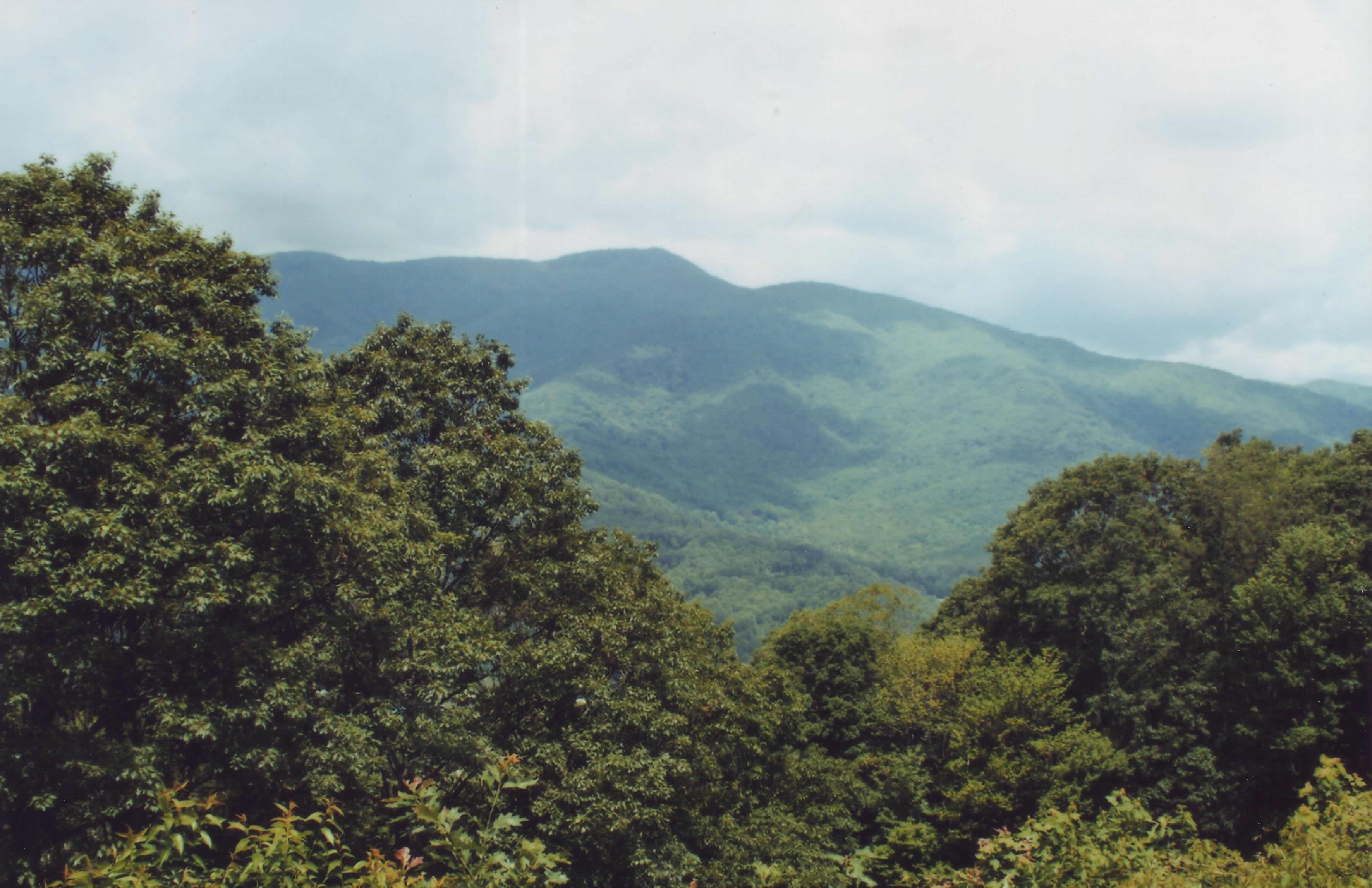 Candler, North Carolina Campground Asheville West KOA Holiday