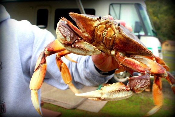 Crabbing & Clamming