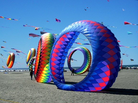 Kite Flying