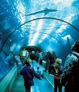 Oregon Coast Aquarium