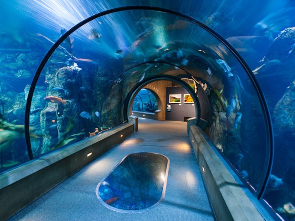 Oregon Coast Aquarium
