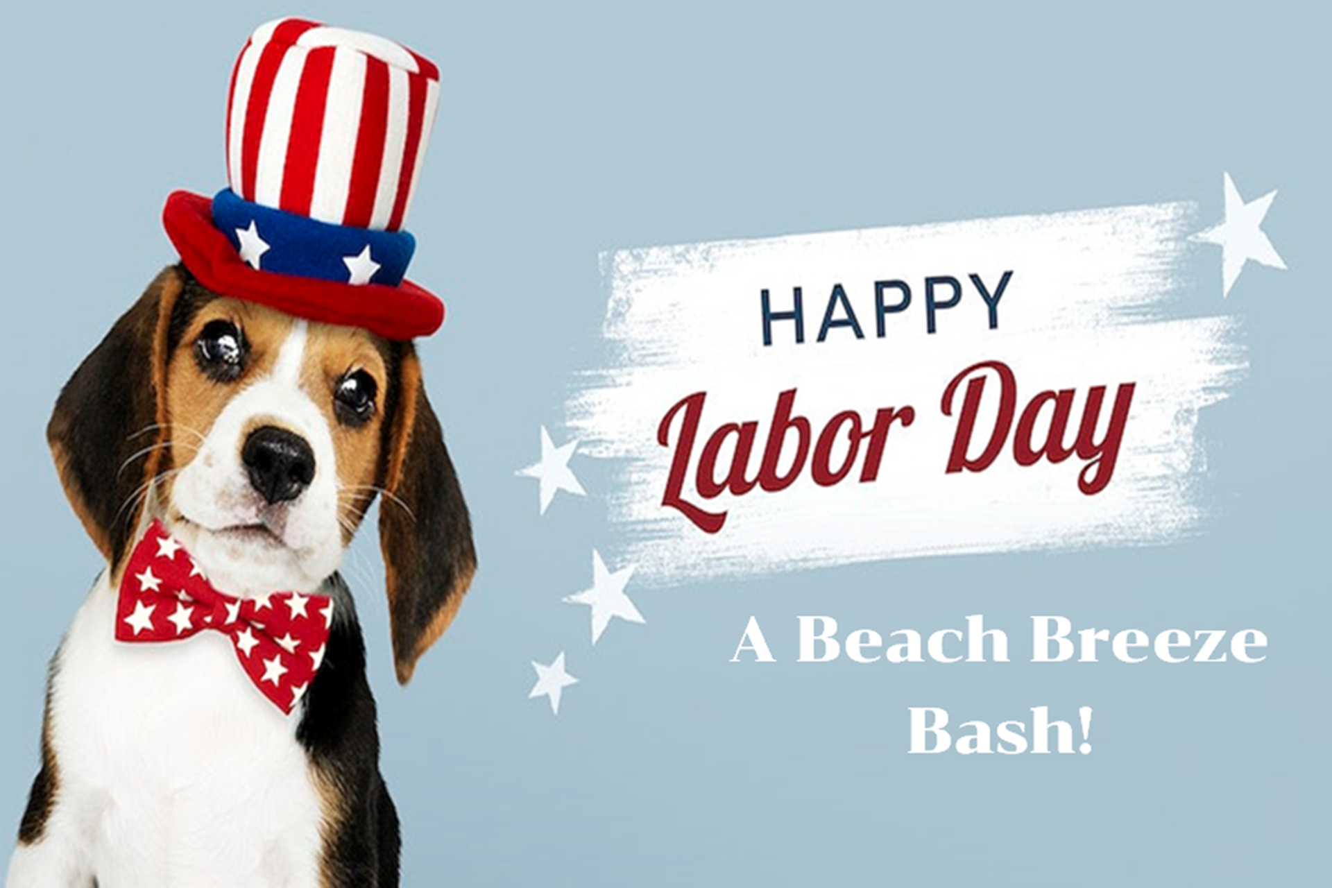 Beach Breeze Bash - Photo 2