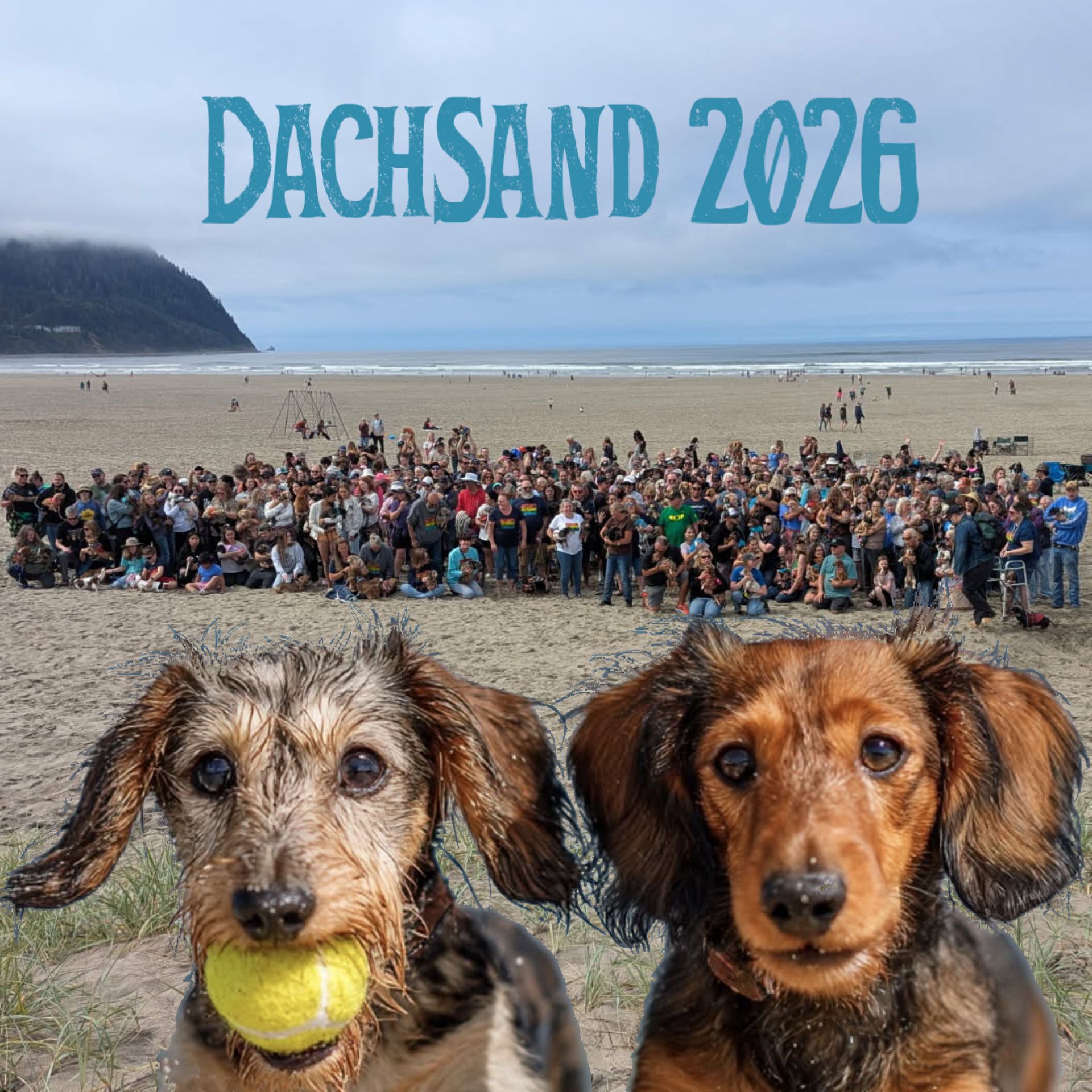 DachSand 2026 Photo