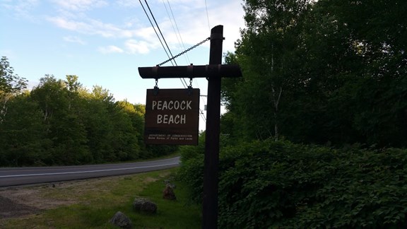 Swim at Peacock Beach ( 1/2 mile away )