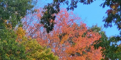Fall Camping
