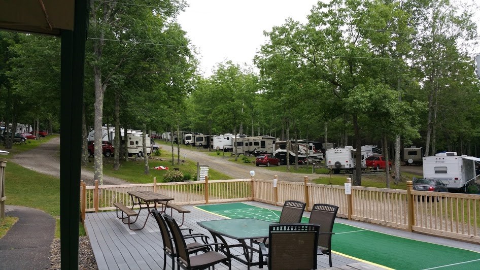 A Little About Our Park