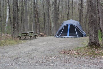 June and July Tent Photo