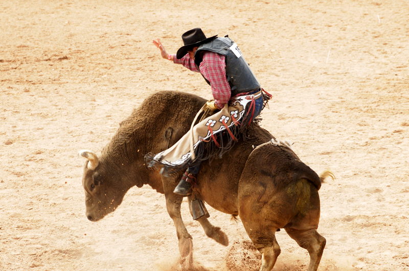 Rodeo Austin 2023: Event at the Austin East KOA Holiday Campground in Texas