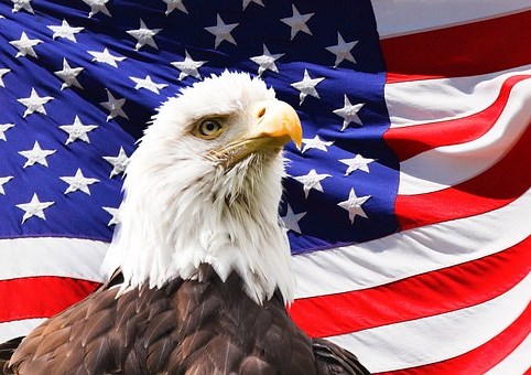 Red,White & Blue Active Duty Photo