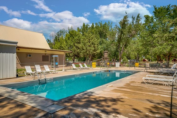 Our swimming pool