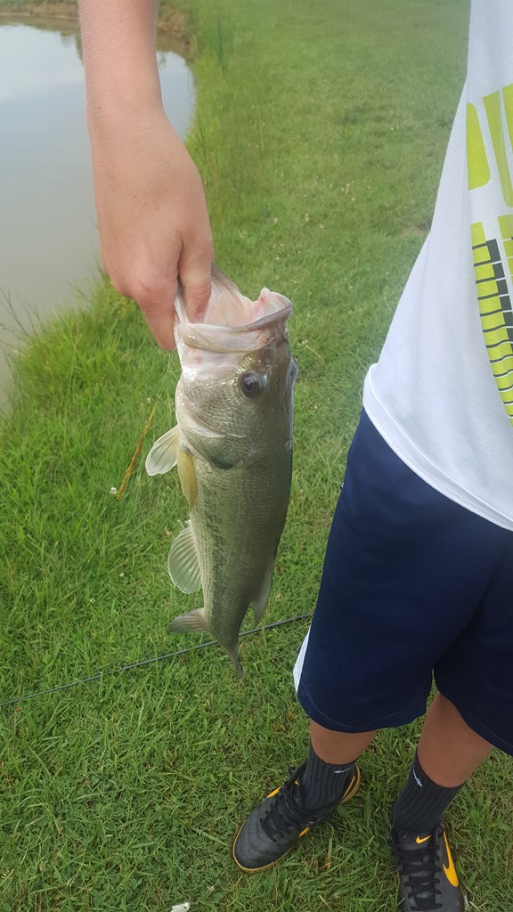 Catch and Release Fishing