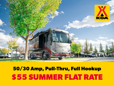 $55 Summer Flat Rate Photo