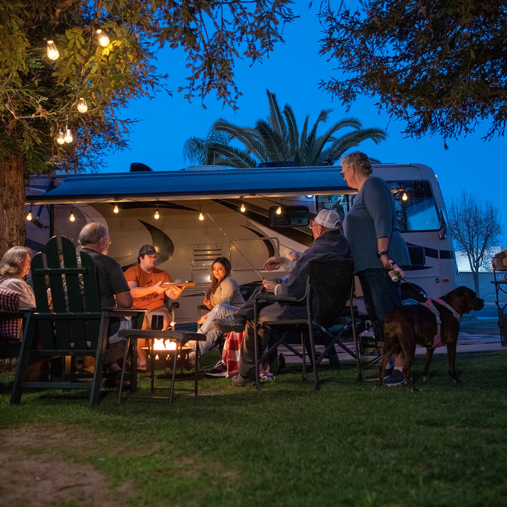 Bakersfield, California Camping Photo Albums Bakersfield KOA Journey