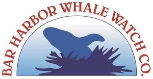 Whale Watching, Puffin, Lobster, or Nature Cruise