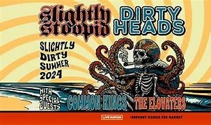 Dirty Heads + Slightly Stoopid Concert Photo