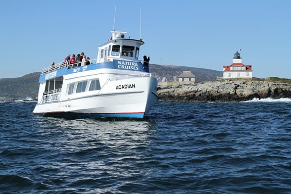 Acadian Boat Tours