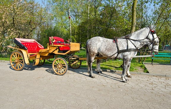 Carriage Rides in Bar Harbor and in Acadia N.P.