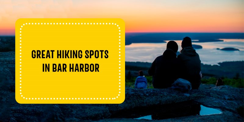 Great Hiking Spots in Bar Harbor - 19133blogpostsf6a3a206 598e 4c08 Af0e 27fc6ef9f5db 