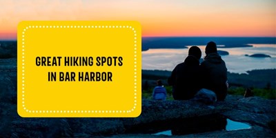 Great Hiking Spots in Bar Harbor