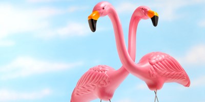 Pink Flamingo Weekend