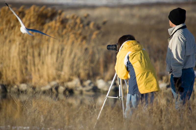 2025 Acadia Birding Festival Photo