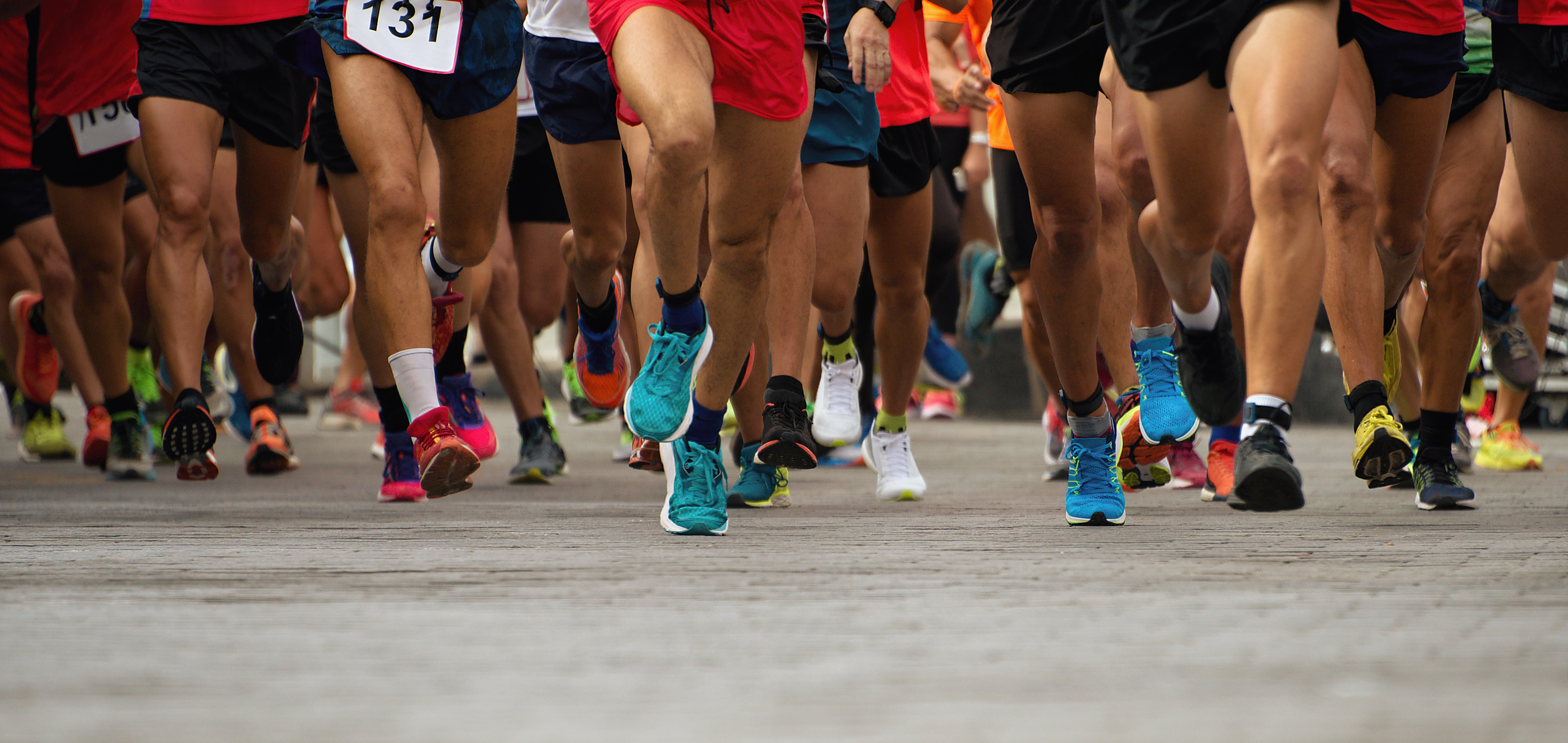 Annual Acadia Half Marathon and 10K Photo