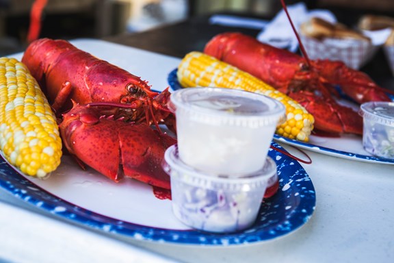 Plan a trip to Palmyra, Maine