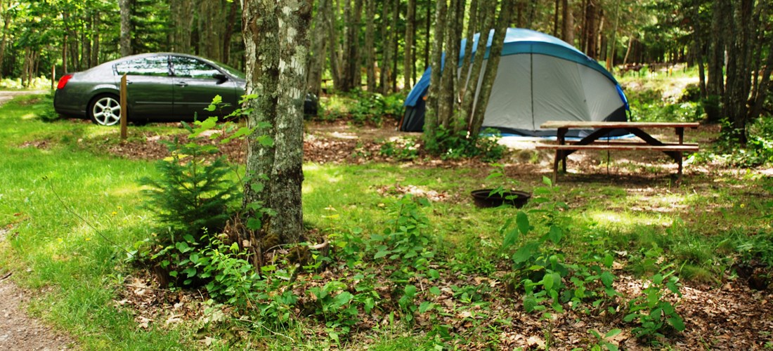 Bar Harbor, Maine Tent Camping Sites | Bar Harbor / Oceanside KOA