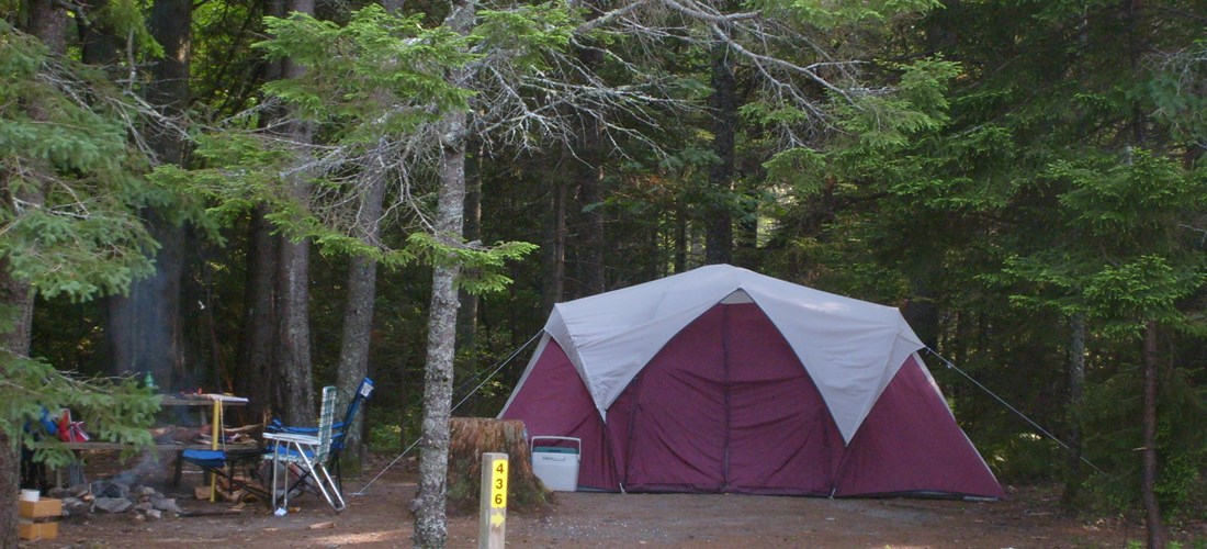 Wooded tent site