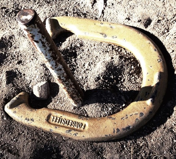 HORSESHOES