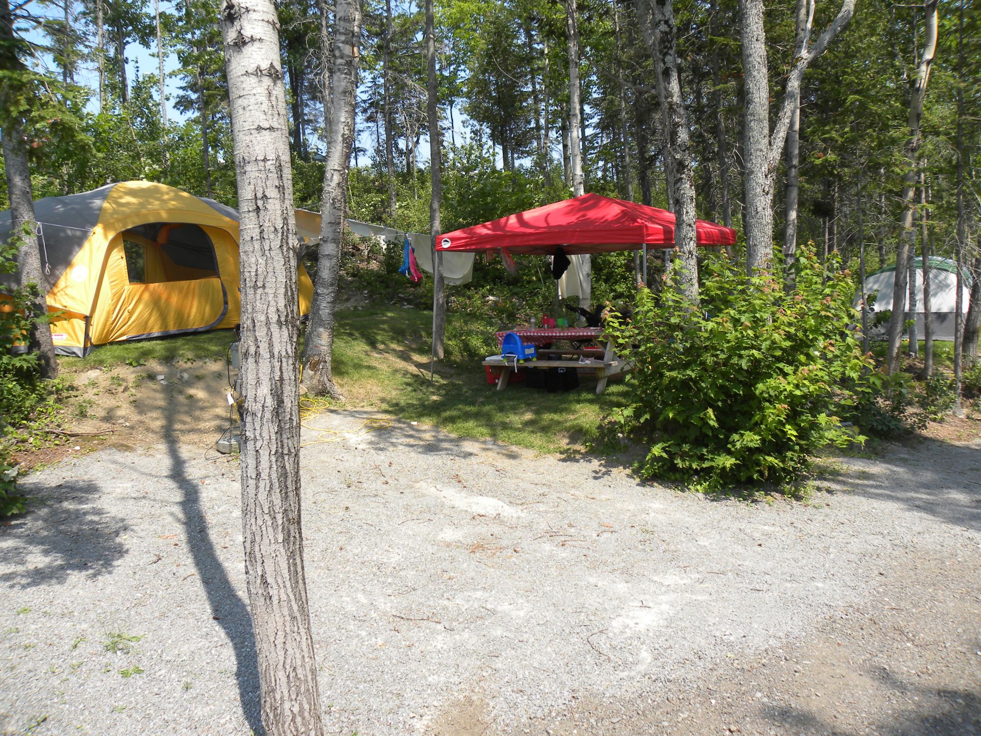 Individual Tent Site, Water & Electric, Grass Tent Pad Pictures Bas