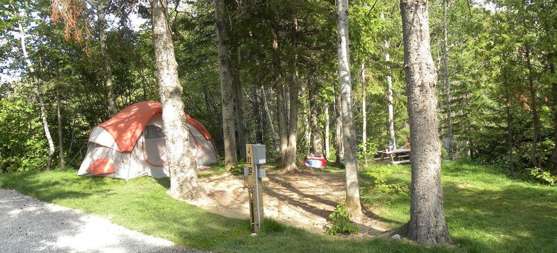 Tent site, water/electric, grass site pad - Site de tente, eau et électricité 20A secteur boisé