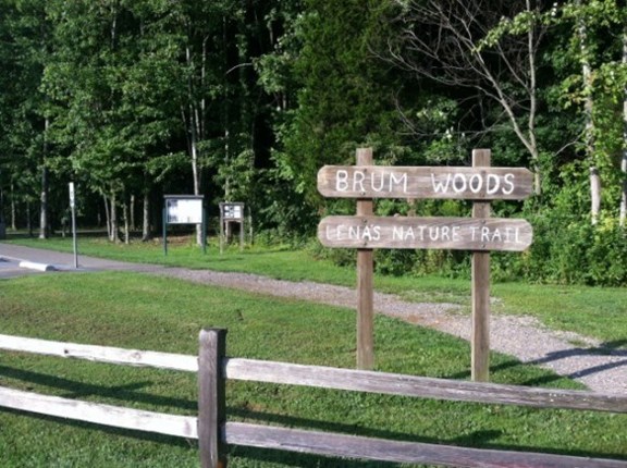 Brum Woods - Lena's Nature Trail