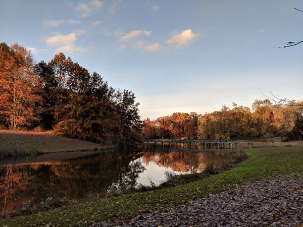 Batesville KOA Journey
