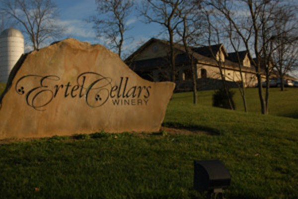 16th annual Ertel Cellars Winery festival Photo